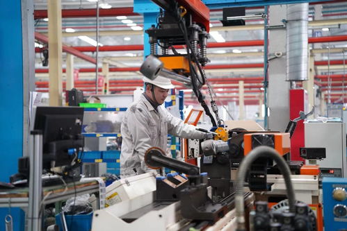 沂蒙品牌行 山東金利液壓 深耕工程機(jī)械高端零部件市場(chǎng),強(qiáng)化品牌塑造