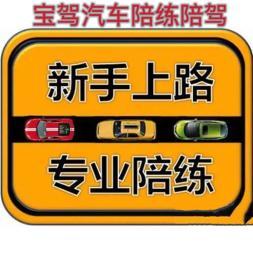 專業(yè)陪練陪駕針對(duì)c1c2本本族有駕駛證各種不敢自己開(kāi)車上路的