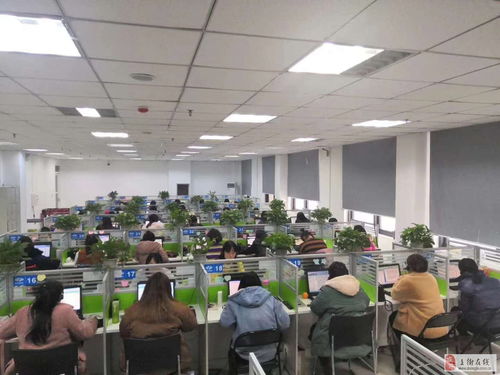 移動(dòng)客服崗位 鄭州聲谷科技誠聘信息技術(shù)咨詢?nèi)瞬? />
</span>
<span id=