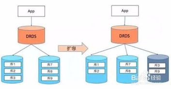 如何理解MySQL表設計規(guī)范 信息技術咨詢服務視角